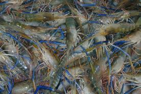 7e128624e86249b3a46438356b51e5eb~tplv-crop-center 276 184.jpeg