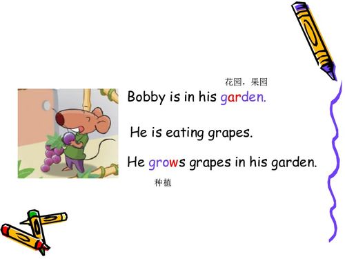 Meta Tags in 2024: Why are they Important in SEO?