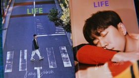 How to Survive Covid-19 in Search: In-depth Analysis of Search Demand Trends