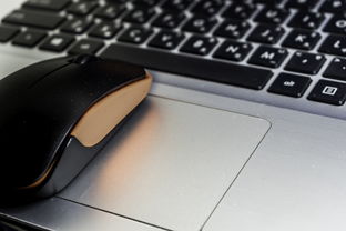 电脑无解压文件工具相关长尾关键词有哪些