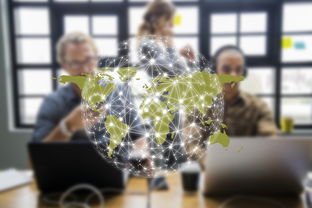 性工具研究指什么相关长尾关键词有哪些