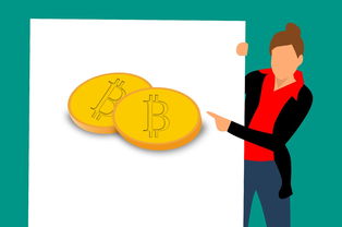 高美梅官方网站全部长尾关键词