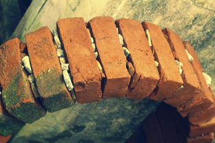 小龙柏用什么工具修剪长尾关键词集合