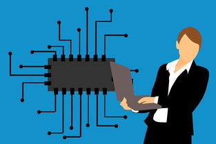 天津部门绩效管理在线工具相关长尾关键词有哪些