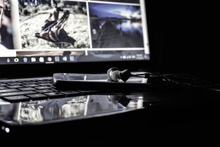 高端精品狩猎工具有哪些百度长尾关键词有哪些