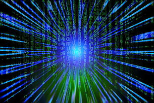 rc奇迹网站系统长尾关键词集合