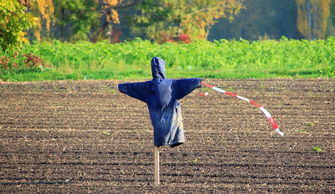 稻草人 网站长尾关键词集合