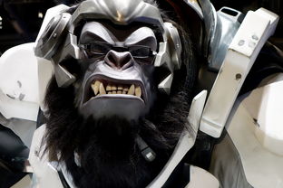 国内最大游戏网站相关长尾关键词有哪些