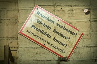 制作雪茄的工具用途作文相关长尾关键词有哪些 制作雪茄的工具用途作文相关长尾关键词有哪些