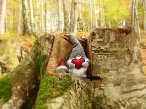 妖妖网站长尾关键词集合