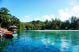 龙途旅游网站全部长尾关键词