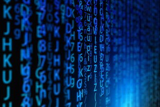 nas 网站相关长尾关键词有哪些