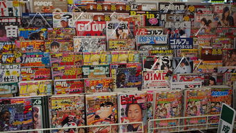 日本的网站你懂的全部长尾关键词