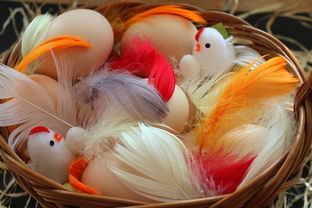 永利澳门官方网站百度长尾关键词有哪些