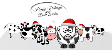 卡通字体工具箱下载长尾关键词集合