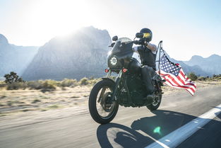 许昌绿化园艺工具长尾关键词集合