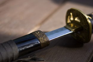 南阳官网推广工具代理长尾关键词集合