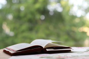 韩剧去哪个网站可以看长尾关键词集合