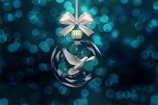 国家邮政局网站投诉长尾关键词集合