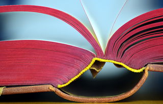 小学练字工具有哪些全部长尾关键词 小学练字工具有哪些全部长尾关键词