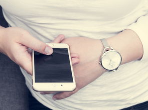 高仿 网站全部长尾关键词