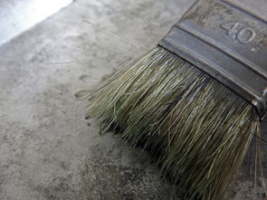 刷qq空间人气网站长尾关键词集合