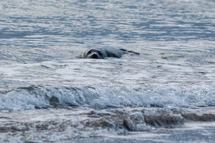 飓风官方网站长尾关键词集合 飓风官方网站长尾关键词集合