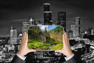 拷网站长尾关键词集合