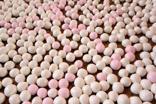 汤圆的网站全部长尾关键词