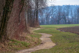 唐乡网站长尾关键词集合