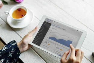 百度翻译网站推荐长尾关键词集合