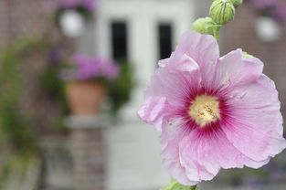 党员感想感悟感言 党员感想感悟感言