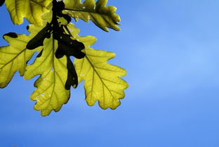 色彩工具用什么颜色长尾关键词集合 色彩工具用什么颜色长尾关键词集合