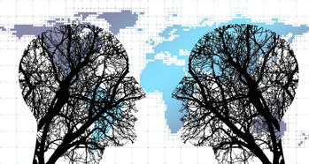 清平乐免费观看网站全部长尾关键词