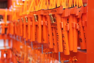 日本 购物 网站长尾关键词集合