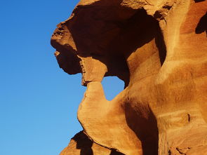 悬崖下载音乐网站全部长尾关键词 悬崖下载音乐网站全部长尾关键词