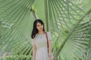 女生喜欢看的小说网站相关长尾关键词有哪些