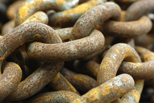 水管接弯头工具有哪些相关长尾关键词有哪些