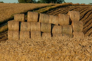 书房整理收纳工具图片长尾关键词集合 书房整理收纳工具图片长尾关键词集合