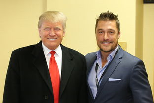 宿迁车管所网站相关长尾关键词有哪些 宿迁车管所网站相关长尾关键词有哪些