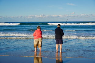 赶海抓黄鱼工具叫什么长尾关键词集合 赶海抓黄鱼工具叫什么长尾关键词集合