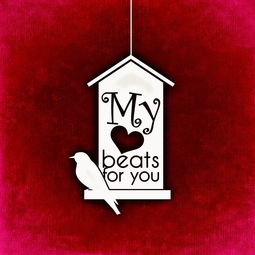 喜爱色视频 网站长尾关键词集合