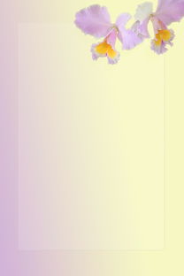 拼多多供应商入驻条件