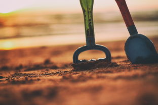 怎么样才能让自己变聪明?