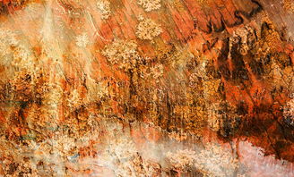 黄鹤网站相关长尾关键词有哪些