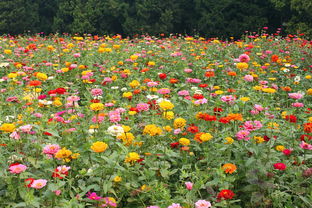 春暖花开网站分享全部长尾关键词 春暖花开网站分享全部长尾关键词