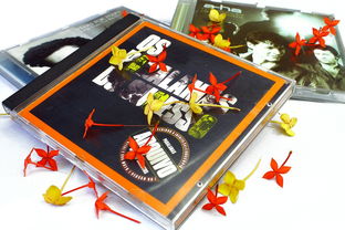 橡皮开孔工具怎么用百度长尾关键词有哪些 橡皮开孔工具怎么用百度长尾关键词有哪些