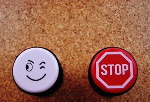 小羊肖恩电影网站长尾关键词集合