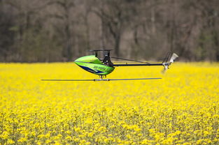 黑土麦田 网站长尾关键词集合 黑土麦田 网站长尾关键词集合