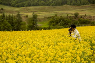 青海旅游的网站全部长尾关键词 青海旅游的网站全部长尾关键词